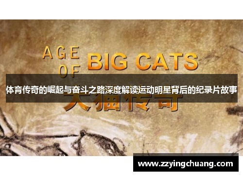 体育传奇的崛起与奋斗之路深度解读运动明星背后的纪录片故事