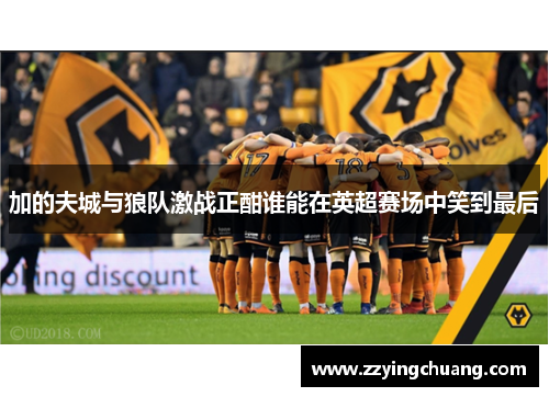 加的夫城与狼队激战正酣谁能在英超赛场中笑到最后
